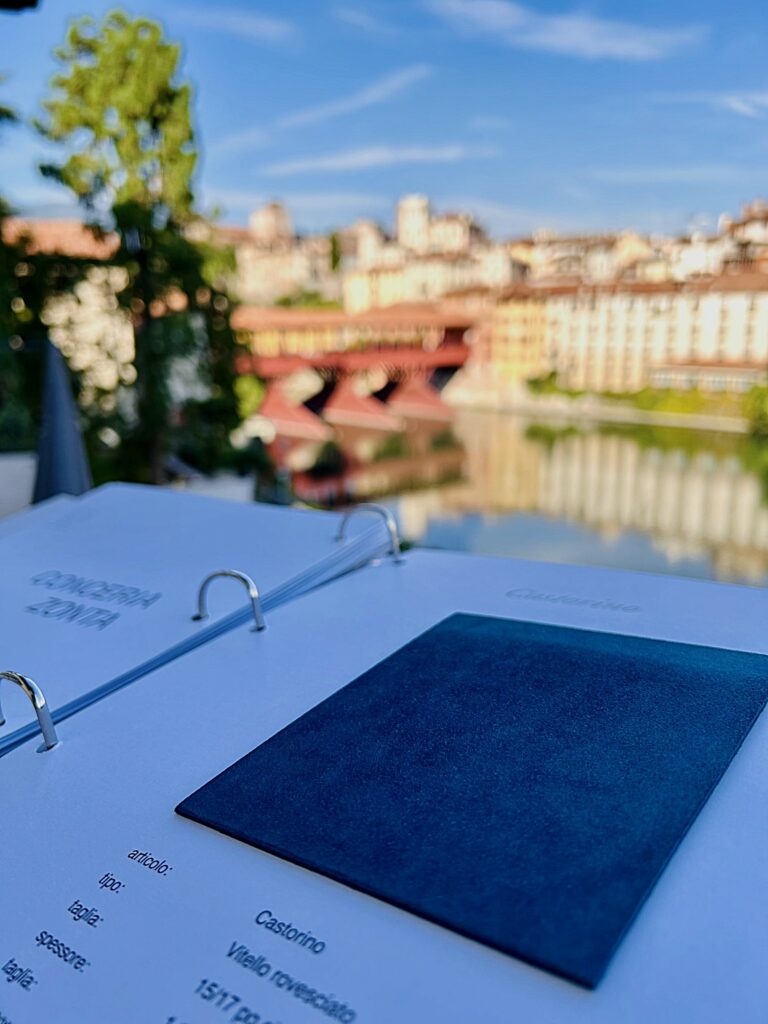 web castorino